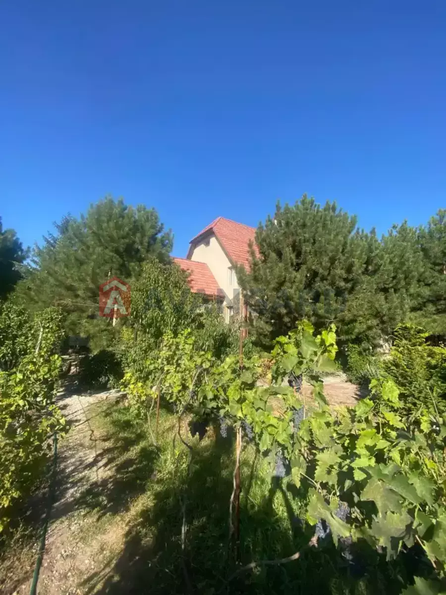 Дом, 300 кв.м. фото 3 Дом, 300 кв.м. фото 3