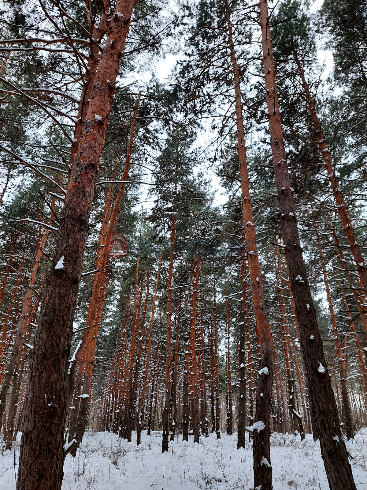 Дача, 67 кв.м. фото 1 Дача, 67 кв.м. фото 1