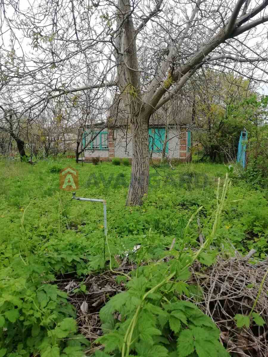 Дача, 30 кв.м. фото 3 Дача, 30 кв.м. фото 3