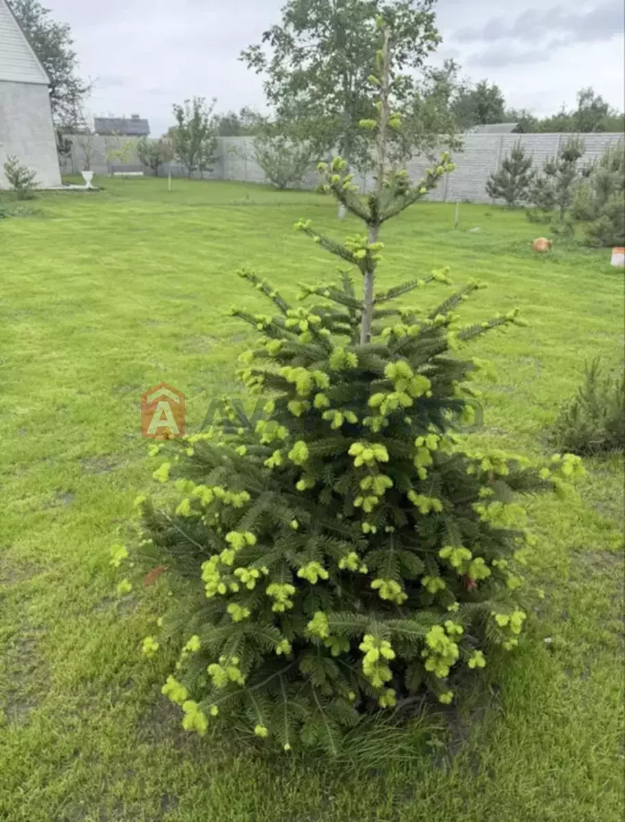 Будинок, 88 кв.м. фото 7 Будинок, 88 кв.м. фото 7