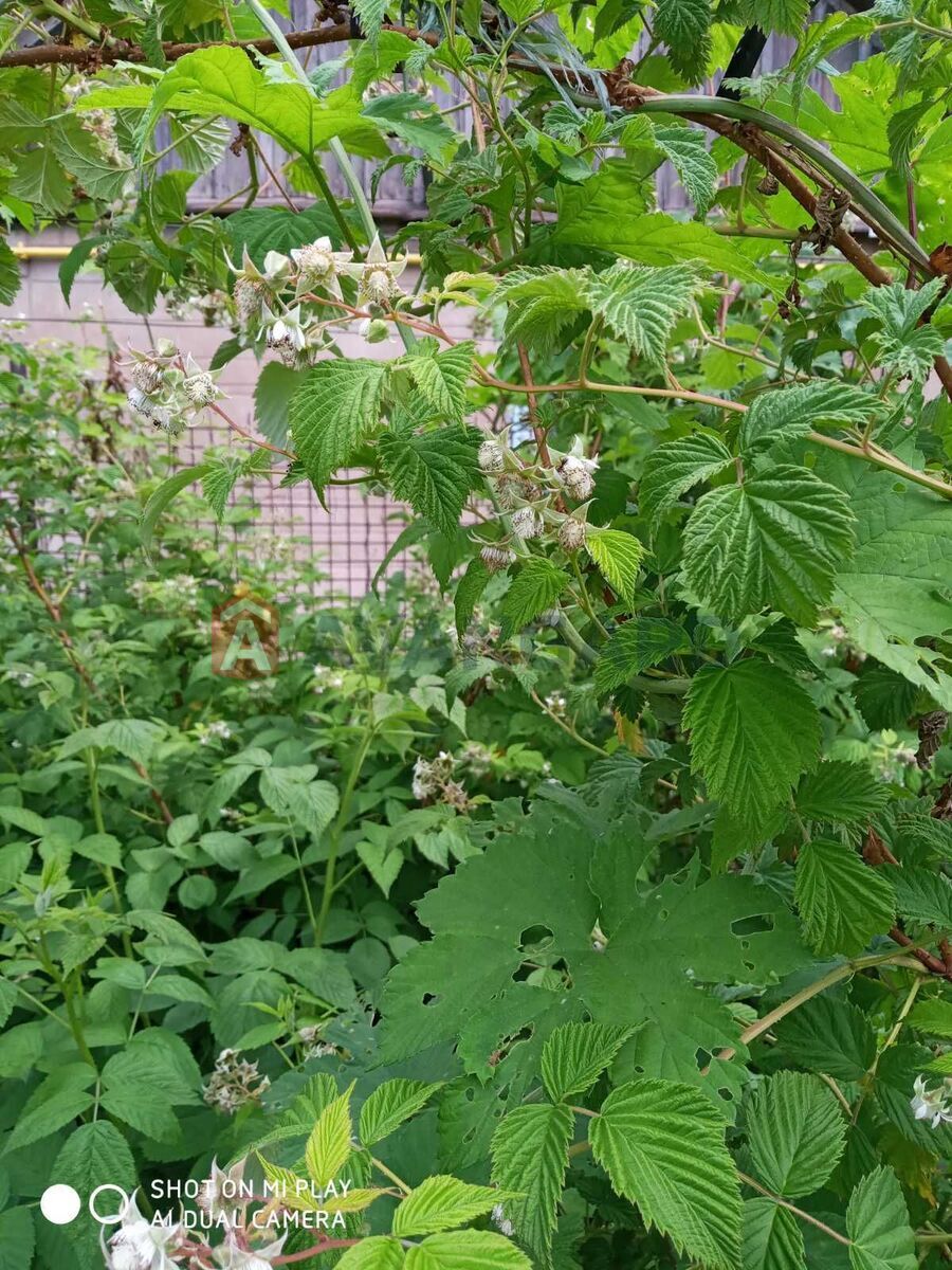 Частина будинку, 95 кв.м. фото 9 Частина будинку, 95 кв.м. фото 9