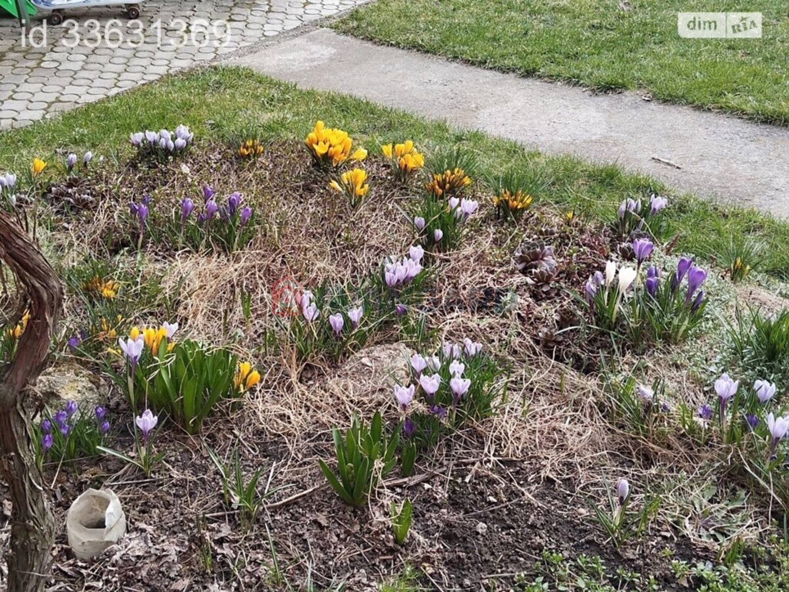 Дом, 179 кв.м. фото 14 Дом, 179 кв.м. фото 14