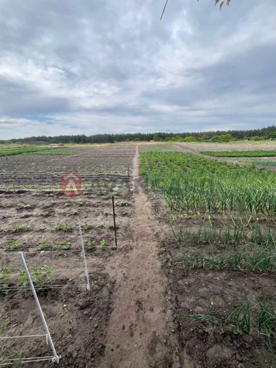 Дом, 76 кв.м. фото 11 Дом, 76 кв.м. фото 11