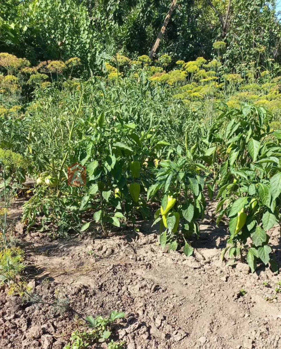 Дом, 53 кв.м. фото 3 Дом, 53 кв.м. фото 3