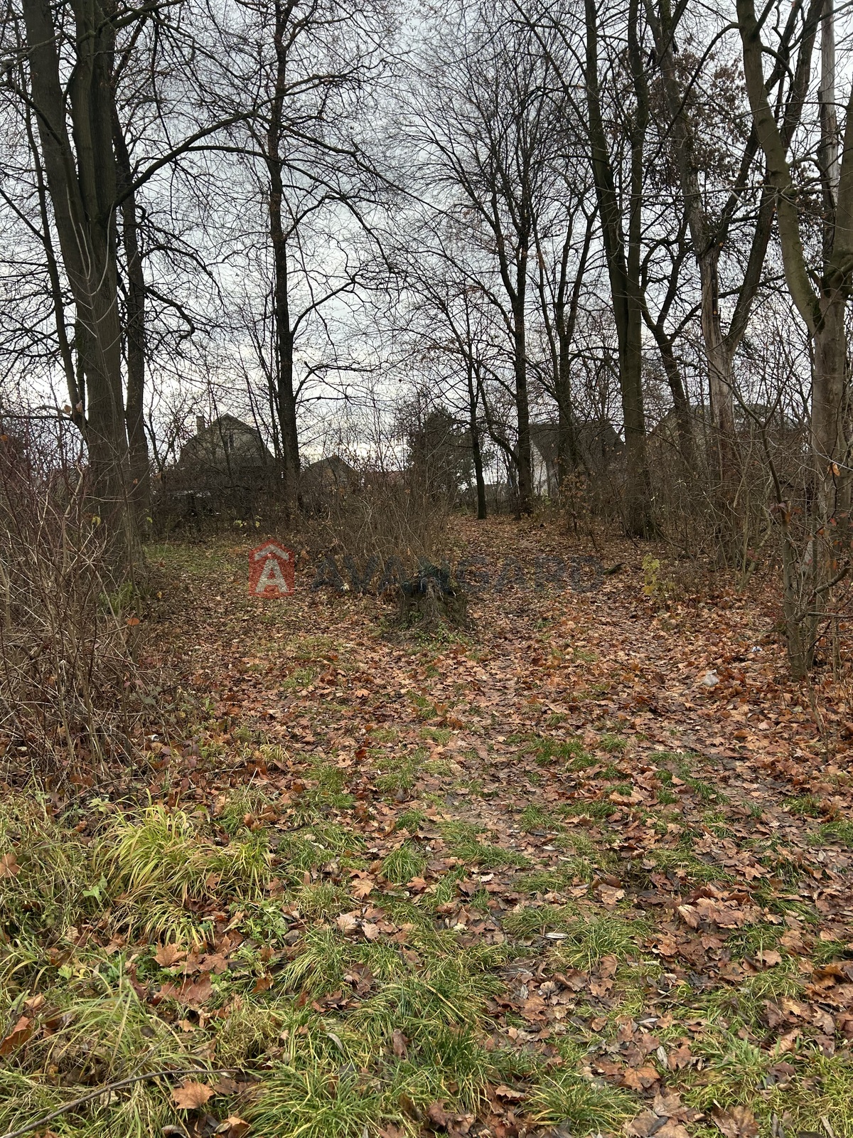 фото 16 фото 16