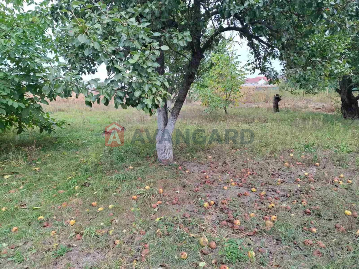 Будинок, 74 кв.м. фото 1 Будинок, 74 кв.м. фото 1