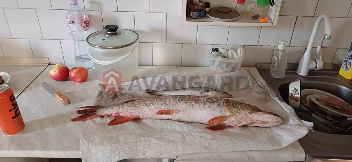 Дача, 70 кв.м. фото 22 Дача, 70 кв.м. фото 22