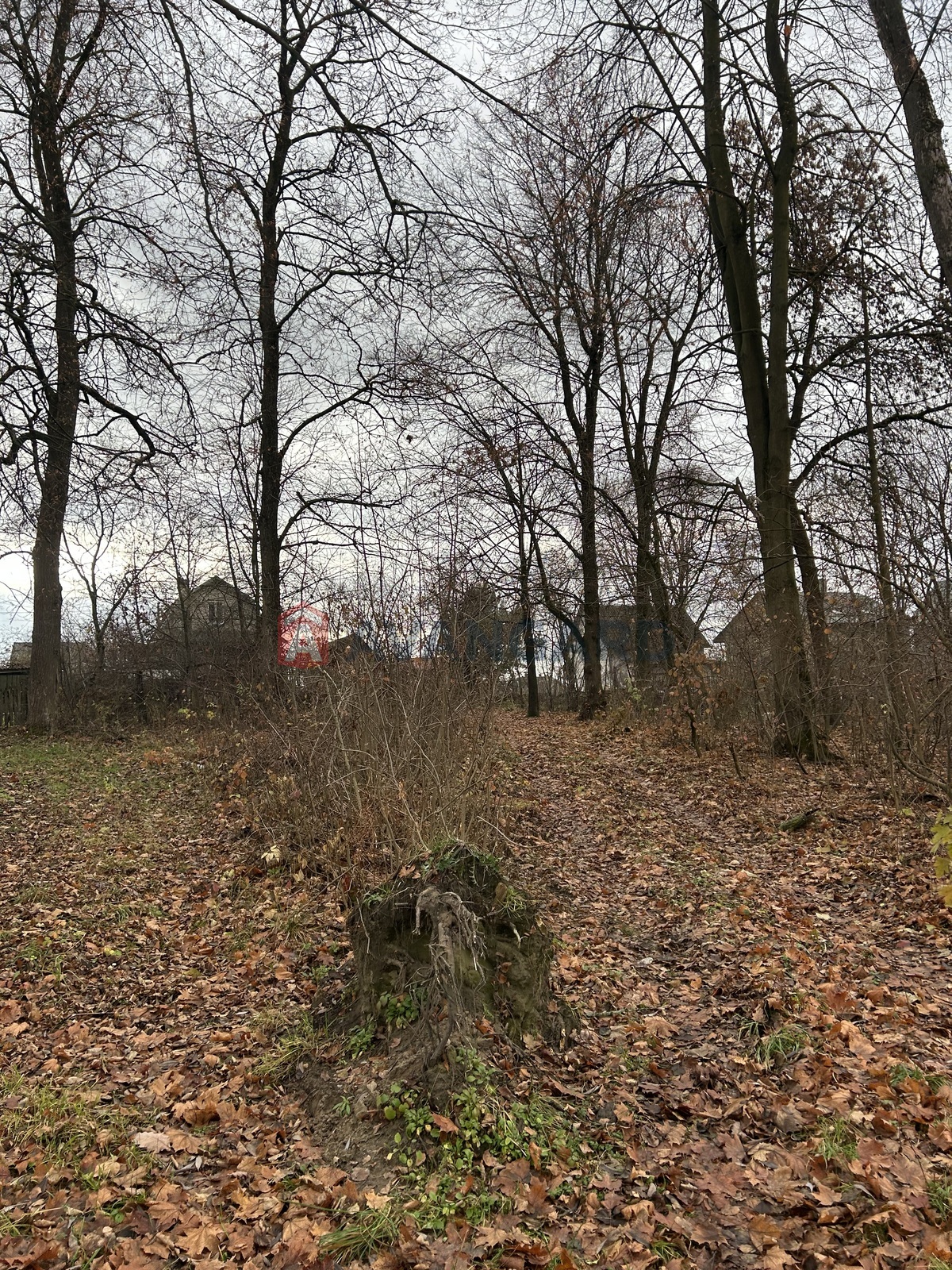 фото 14 фото 14