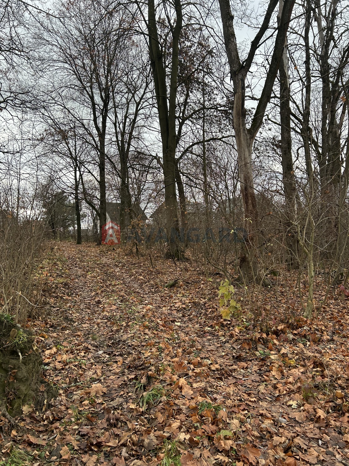 фото 15 фото 15