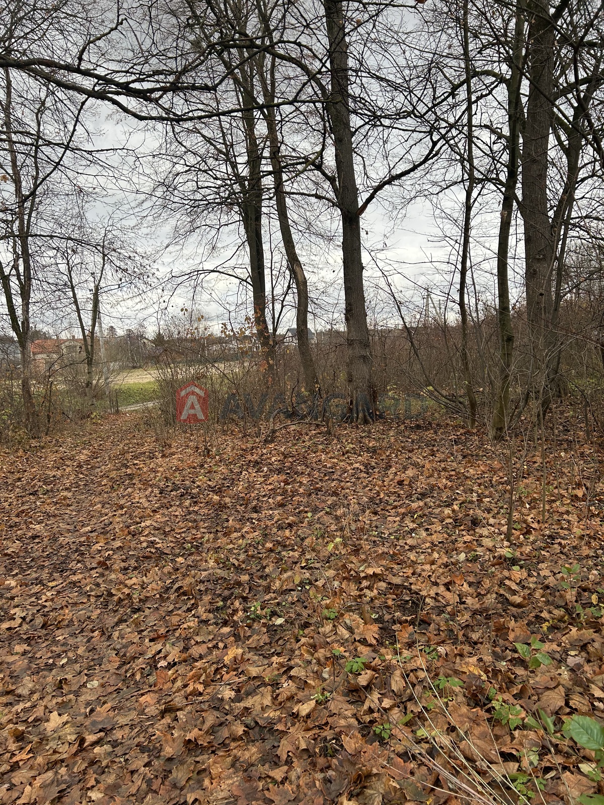 фото 10 фото 10