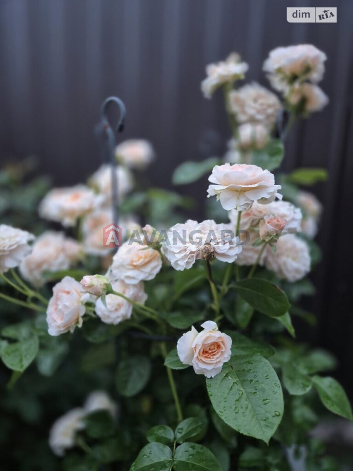 Дом, 156 кв.м. фото 9 Дом, 156 кв.м. фото 9