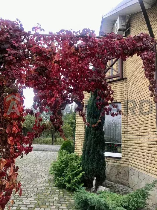 Дом, 145 кв.м. фото 22 Дом, 145 кв.м. фото 22