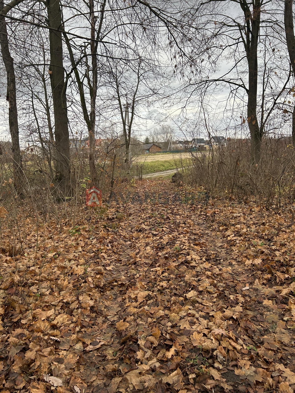 фото 11 фото 11