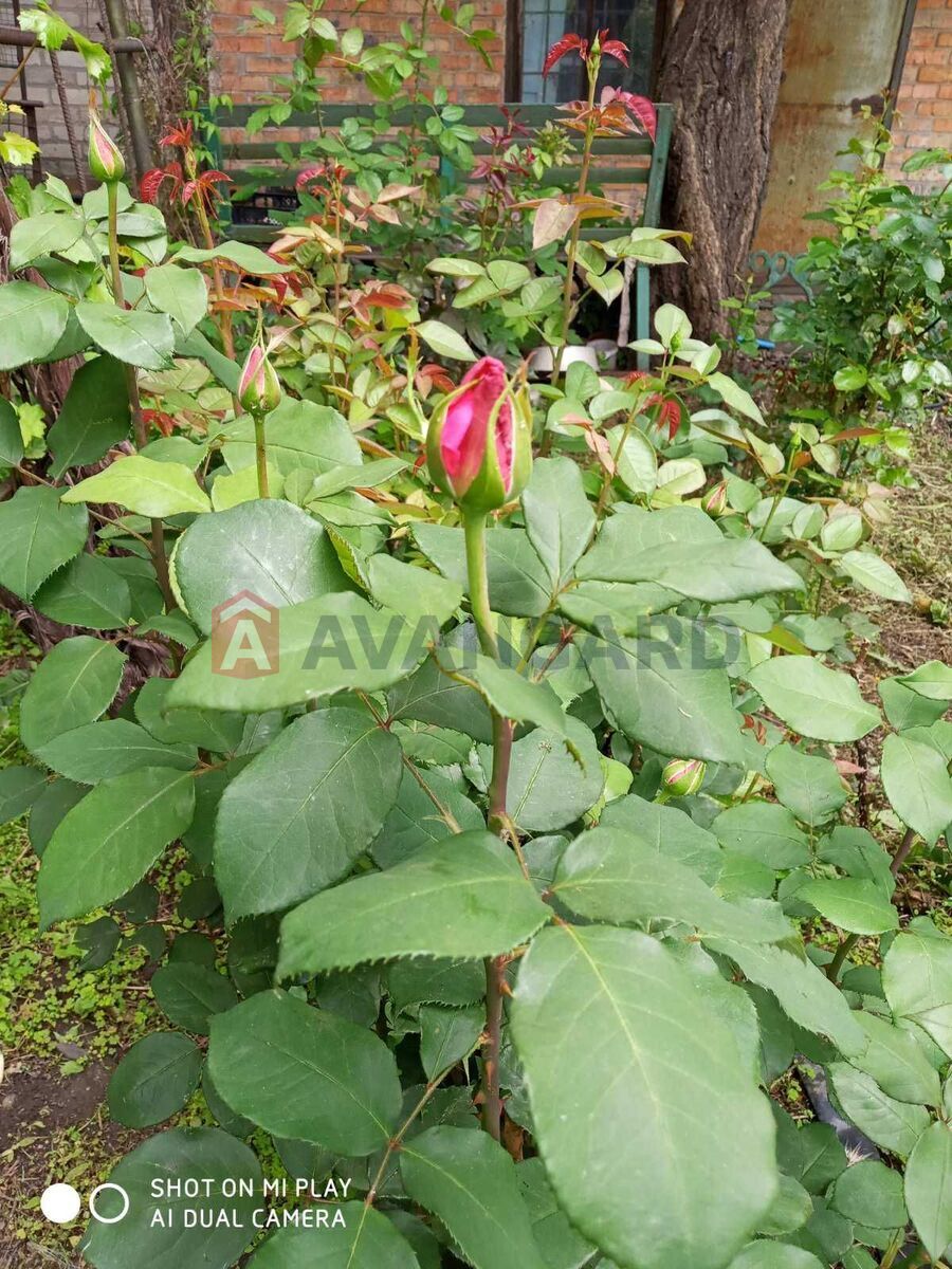 Частина будинку, 95 кв.м. фото 4 Частина будинку, 95 кв.м. фото 4