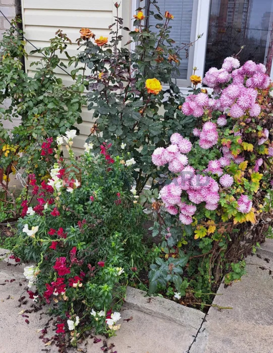 Будинок, 56 кв.м. фото 14 Будинок, 56 кв.м. фото 14