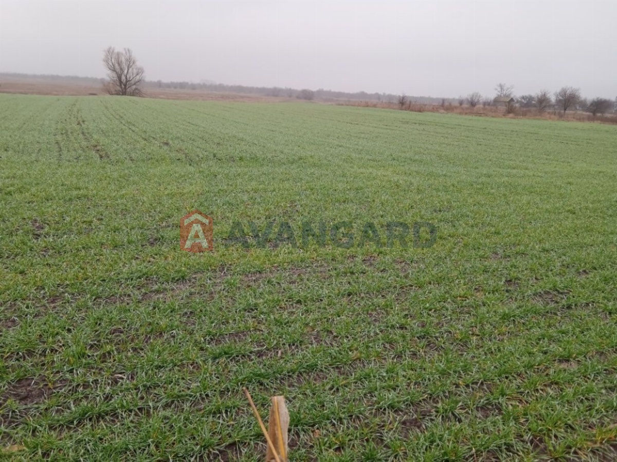 Будинок, 130 кв.м. фото 10 Будинок, 130 кв.м. фото 10