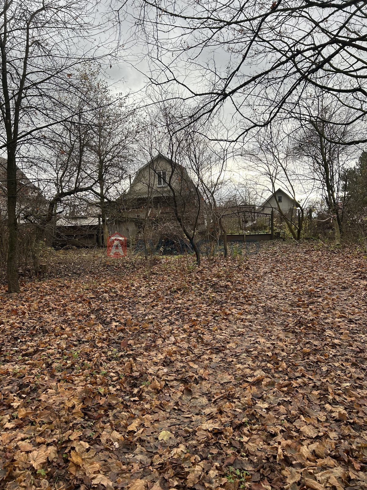 фото 12 фото 12