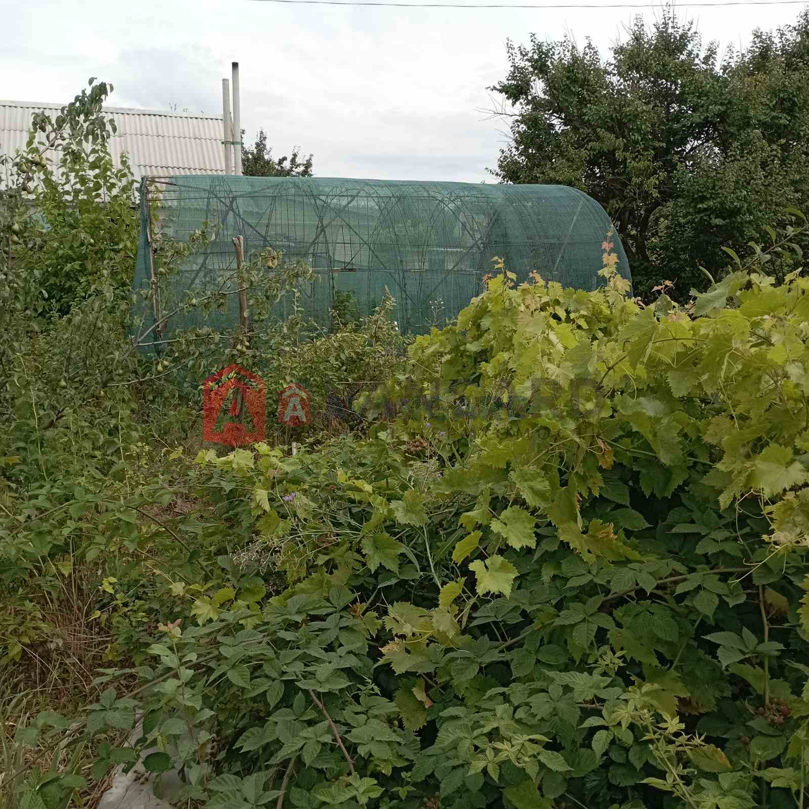 Дом, 44 кв.м. фото 5 Дом, 44 кв.м. фото 5