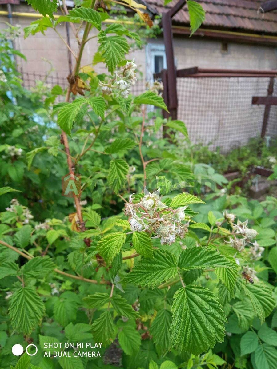 Частина будинку, 95 кв.м. фото 10 Частина будинку, 95 кв.м. фото 10