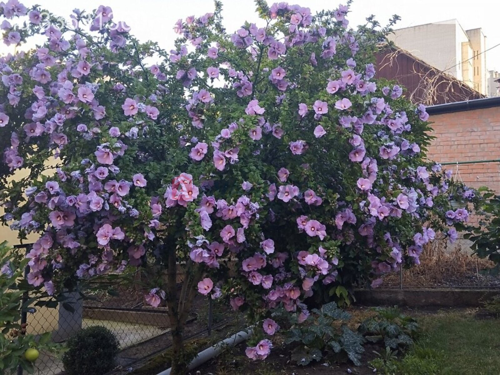 Будинок, 179 кв.м. фото 13 Будинок, 179 кв.м. фото 13