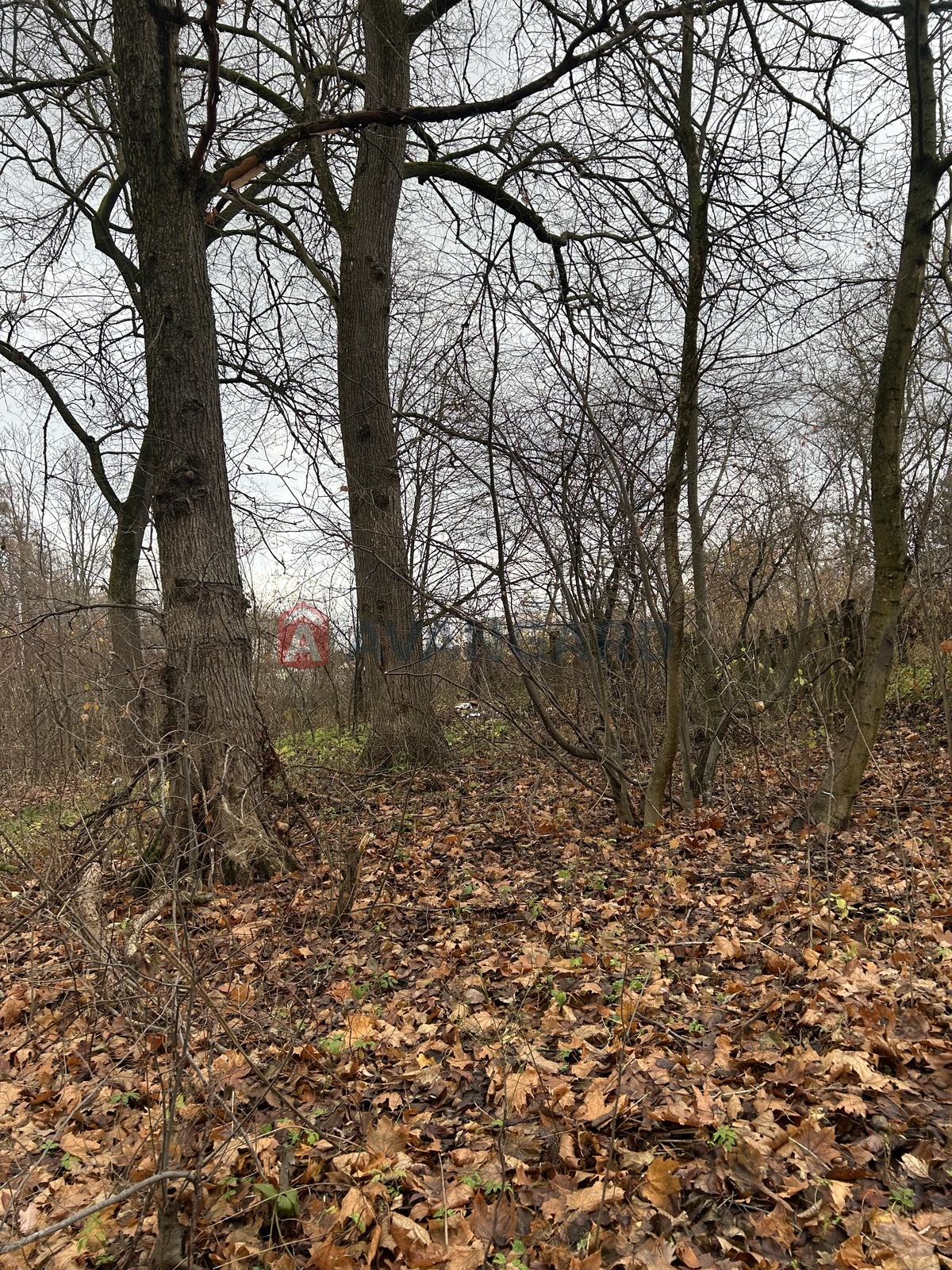 фото 2 фото 2