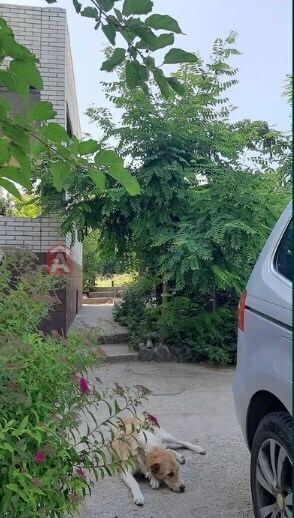 Будинок, 208 кв.м. фото 20 Будинок, 208 кв.м. фото 20