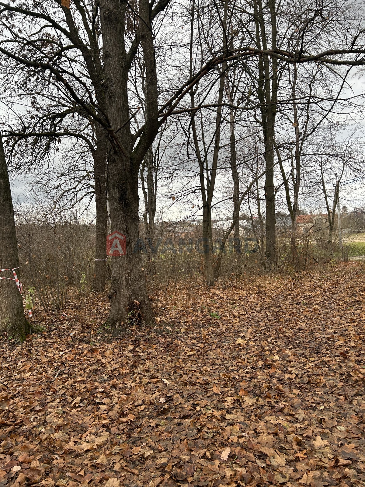 фото 9 фото 9