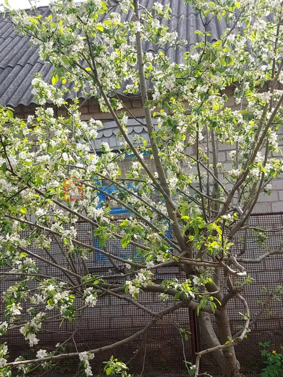 Будинок, 61 кв.м. фото 15 Будинок, 61 кв.м. фото 15