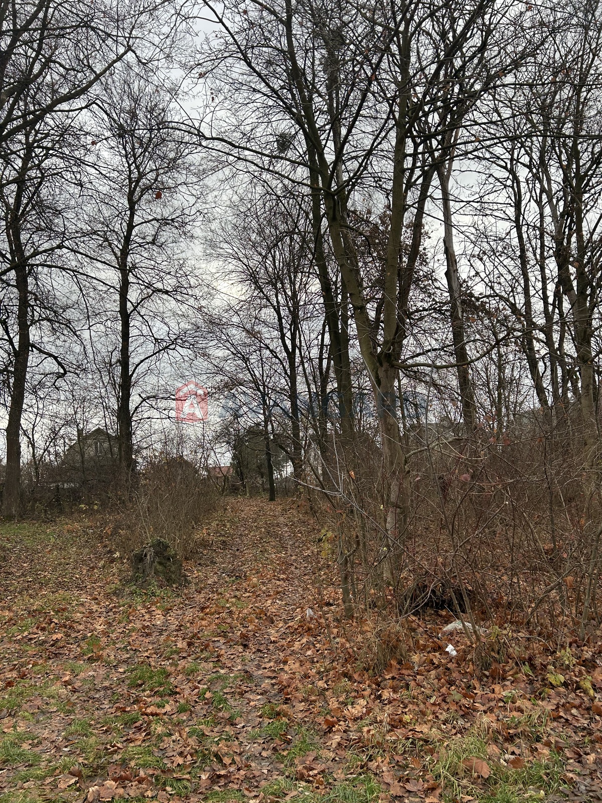 фото 1 фото 1