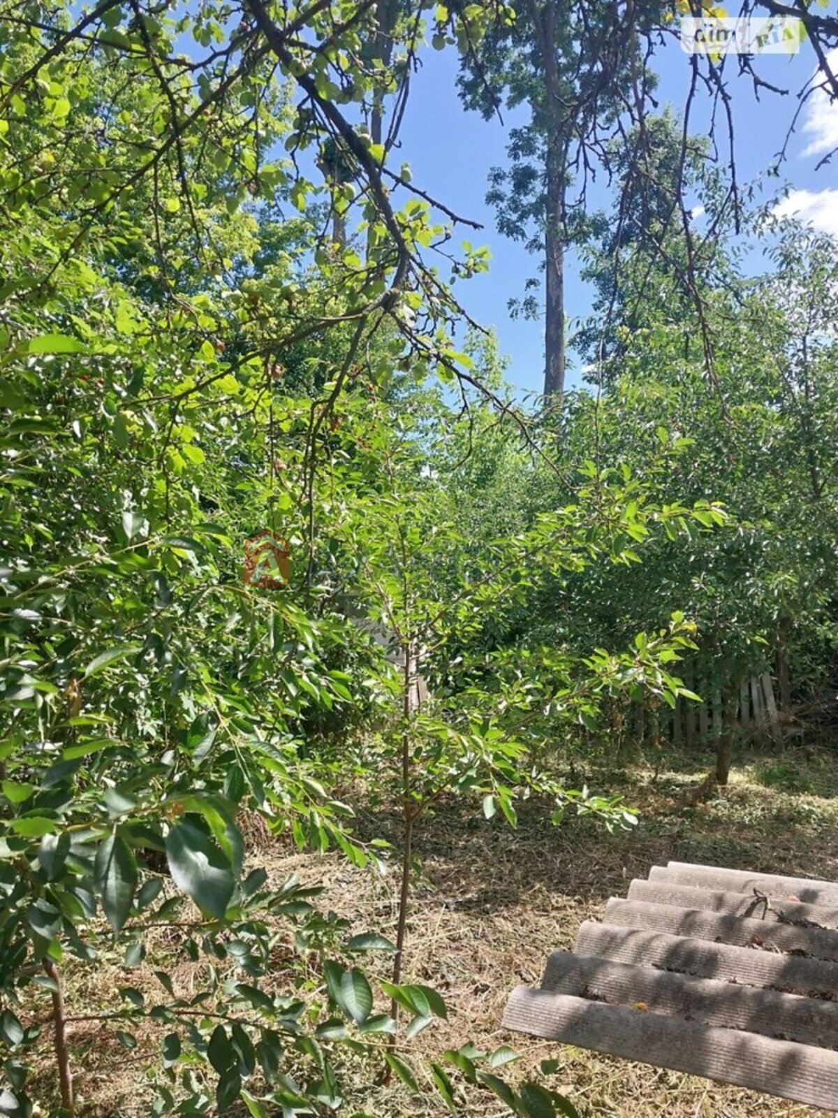 Будинок, 29 кв.м. фото 3 Будинок, 29 кв.м. фото 3