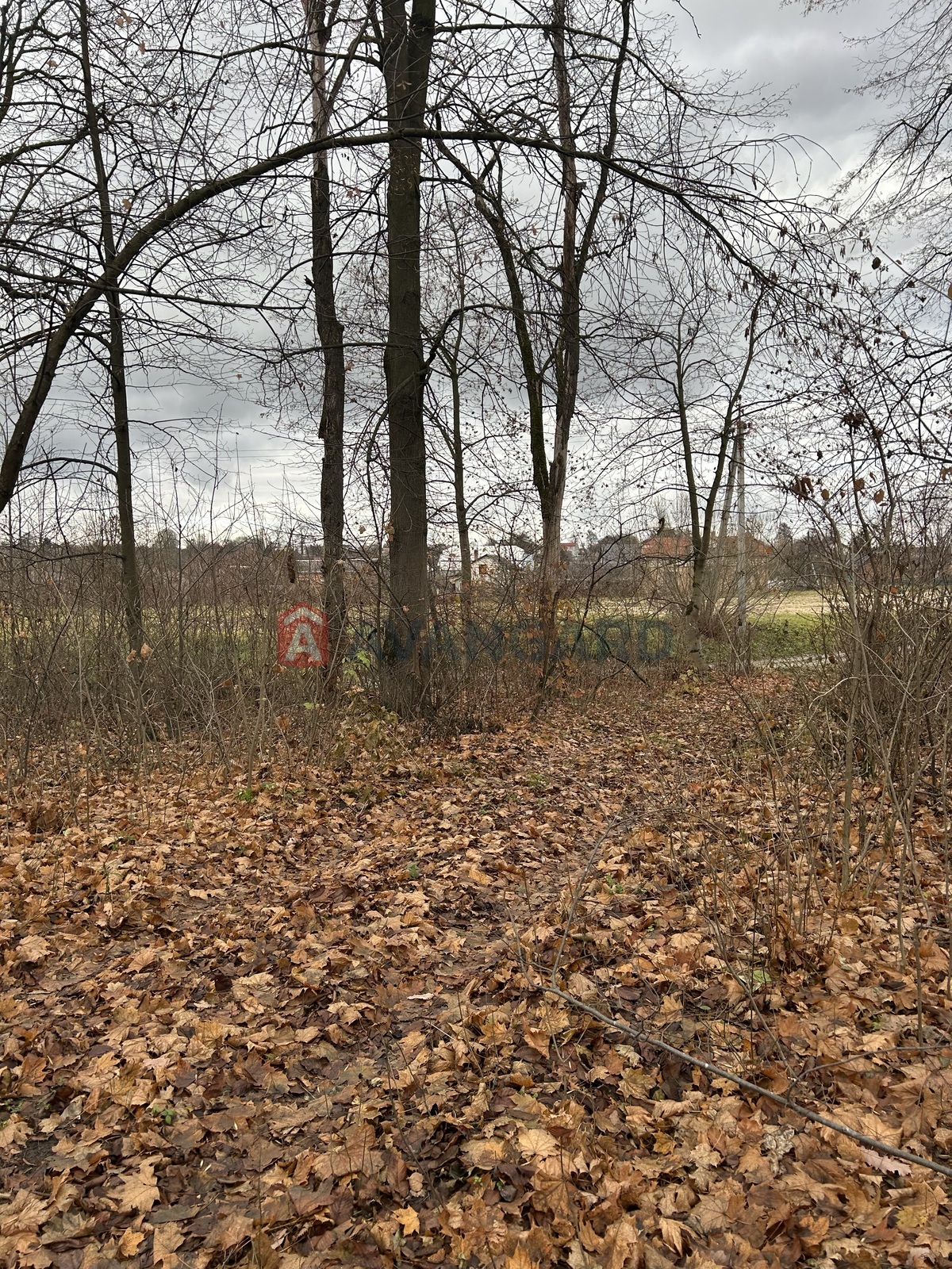 фото 3 фото 3