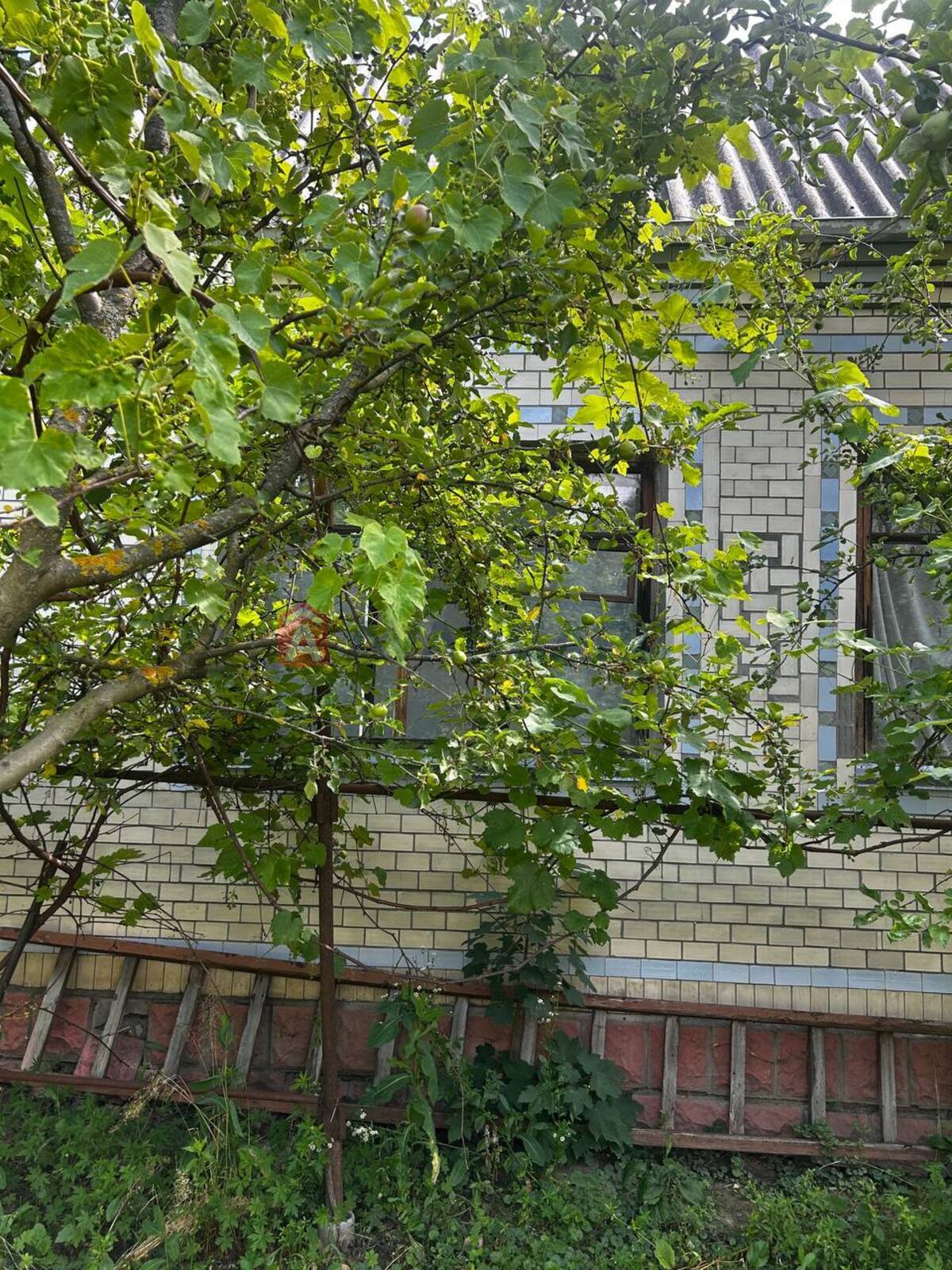 Будинок, 295 кв.м. фото 3 Будинок, 295 кв.м. фото 3