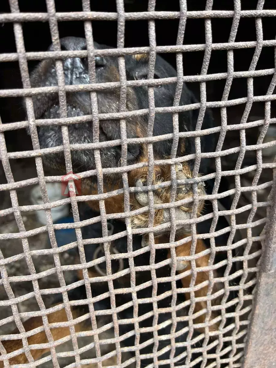 Будинок, 87 кв.м. фото 8 Будинок, 87 кв.м. фото 8