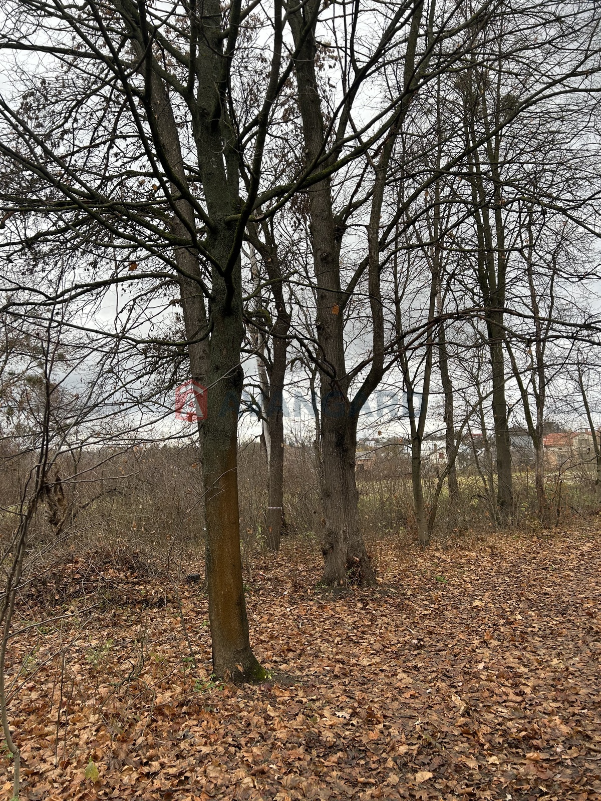 фото 6 фото 6