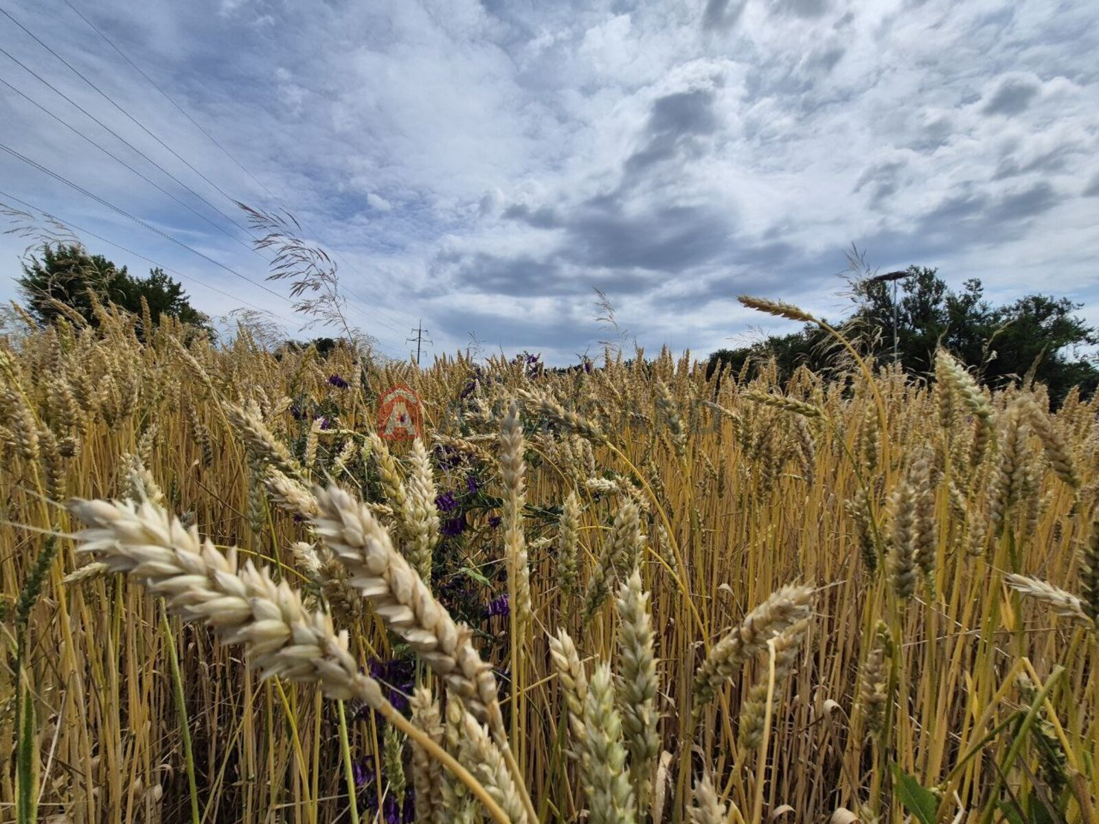 Дом, 135 кв.м. фото 20 Дом, 135 кв.м. фото 20