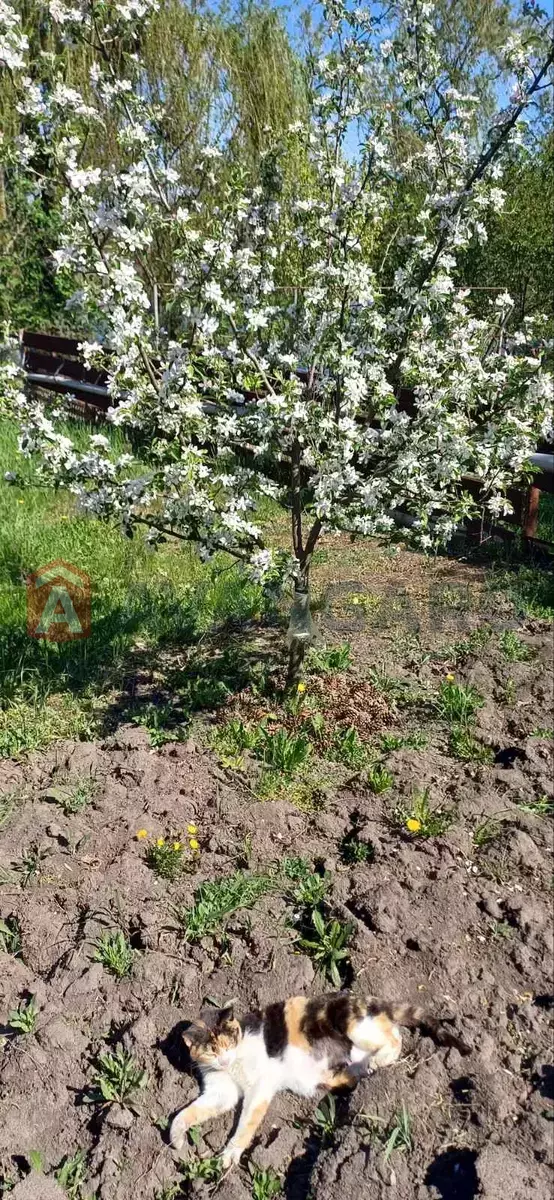 Дача, 70 кв.м. фото 10 Дача, 70 кв.м. фото 10