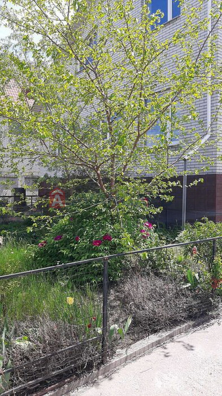 Будинок, 208 кв.м. фото 4 Будинок, 208 кв.м. фото 4