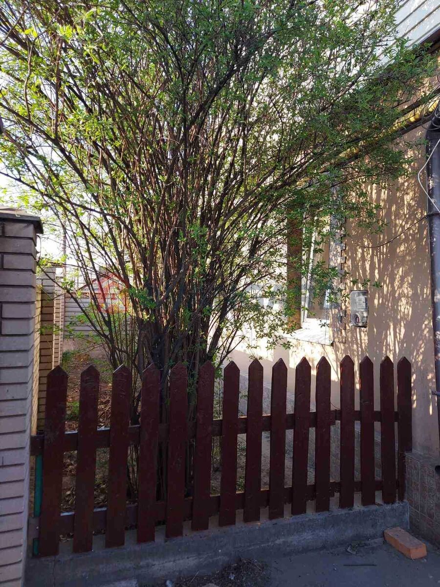 Будинок, 70 кв.м. фото 5 Будинок, 70 кв.м. фото 5