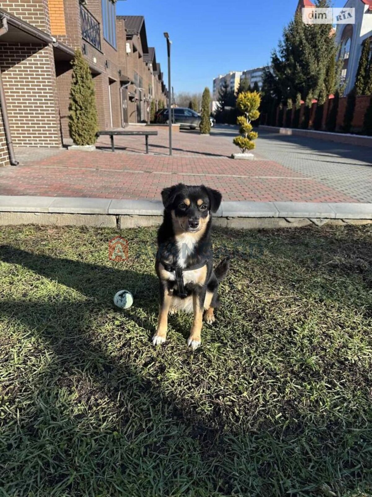 Дом, 156 кв.м. фото 4 Дом, 156 кв.м. фото 4