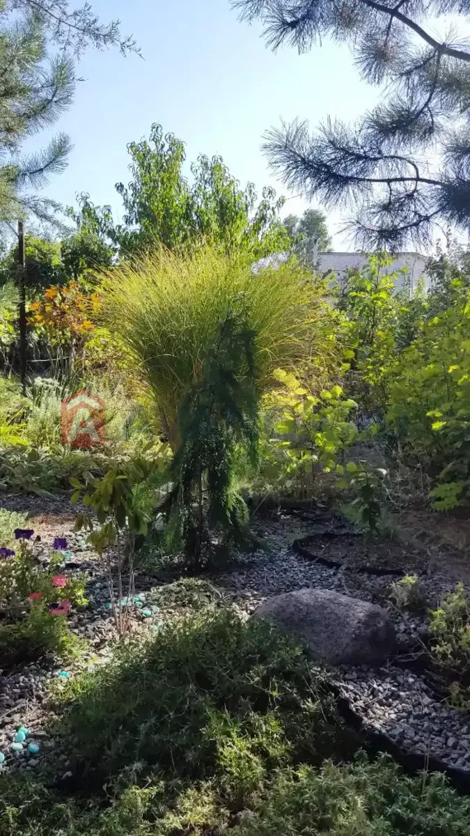 Дом, 300 кв.м. фото 11 Дом, 300 кв.м. фото 11