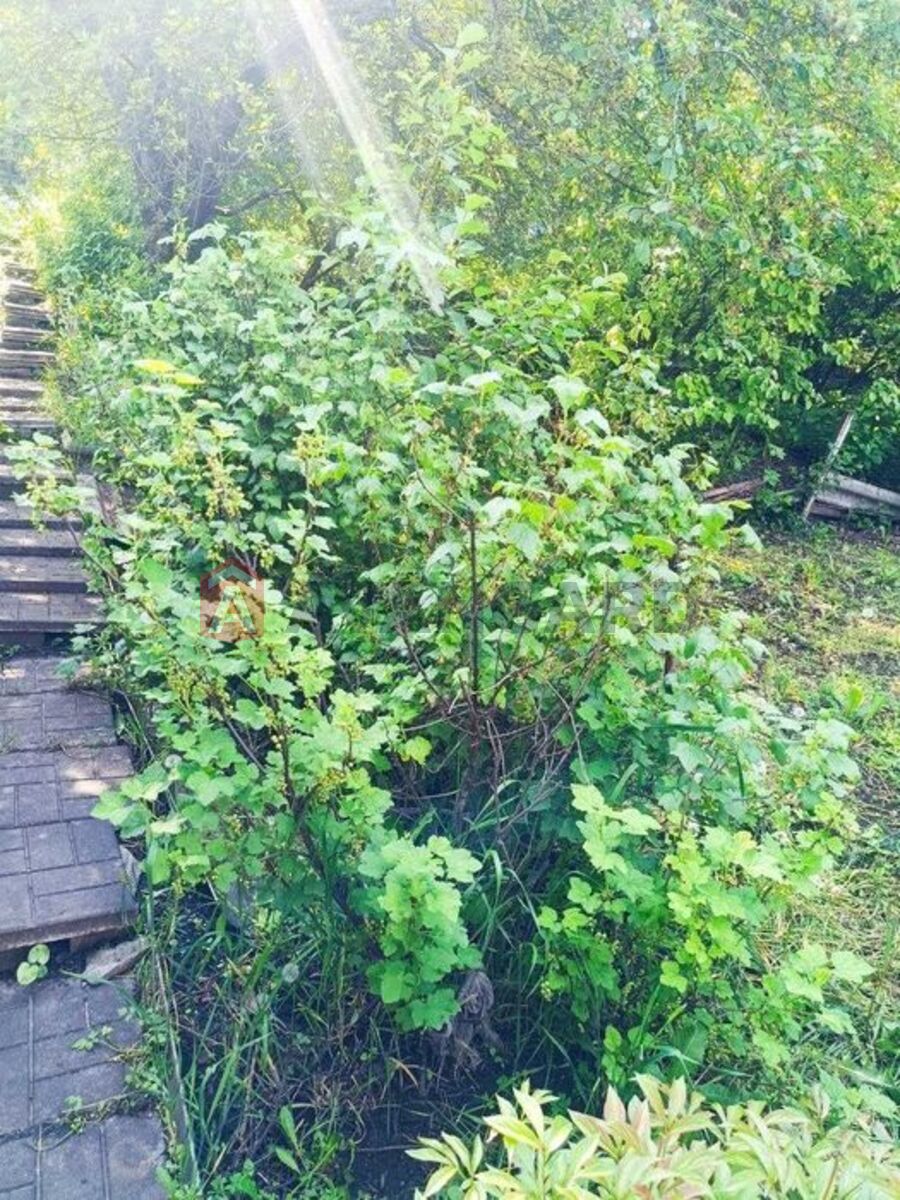 Дача, 20 кв.м. фото 6 Дача, 20 кв.м. фото 6