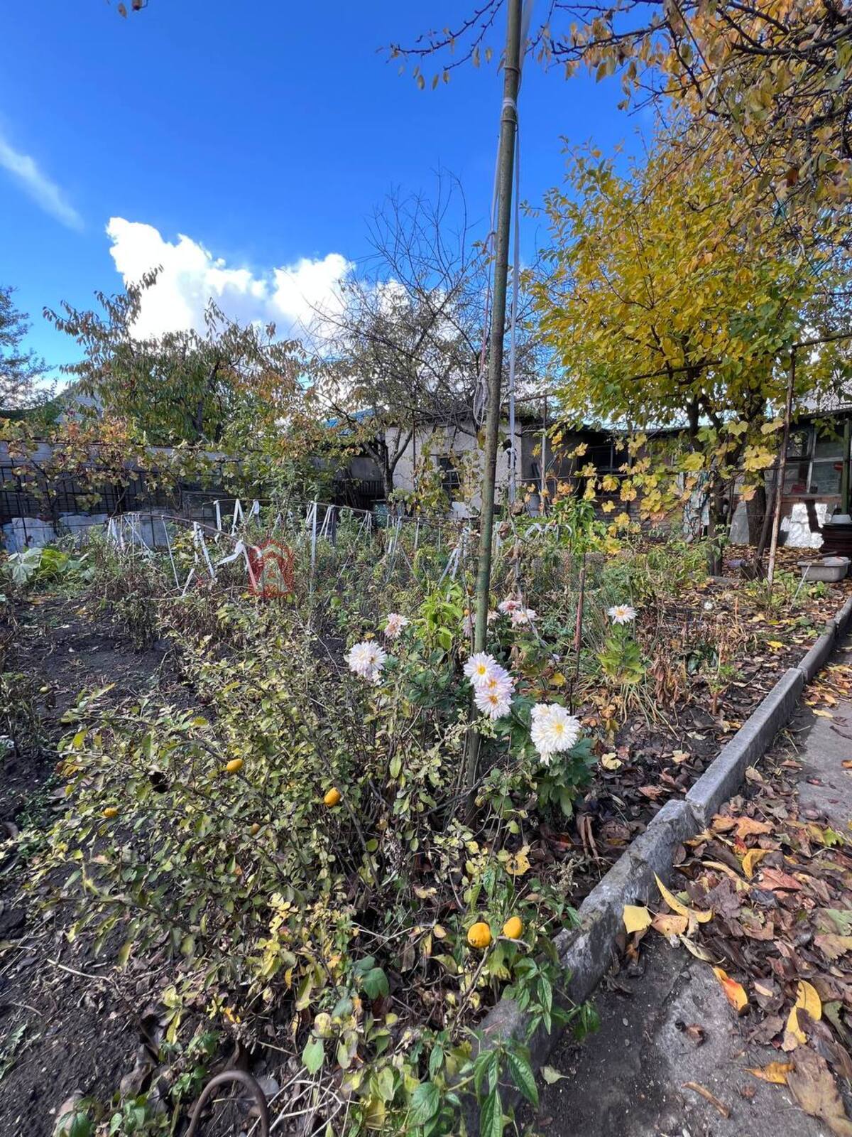 Дом, 74 кв.м. фото 16 Дом, 74 кв.м. фото 16