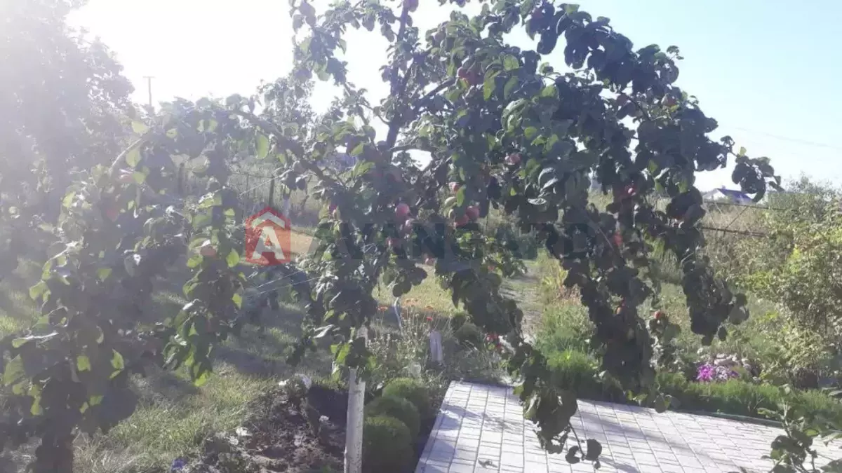 Дача, 110 кв.м. фото 15 Дача, 110 кв.м. фото 15