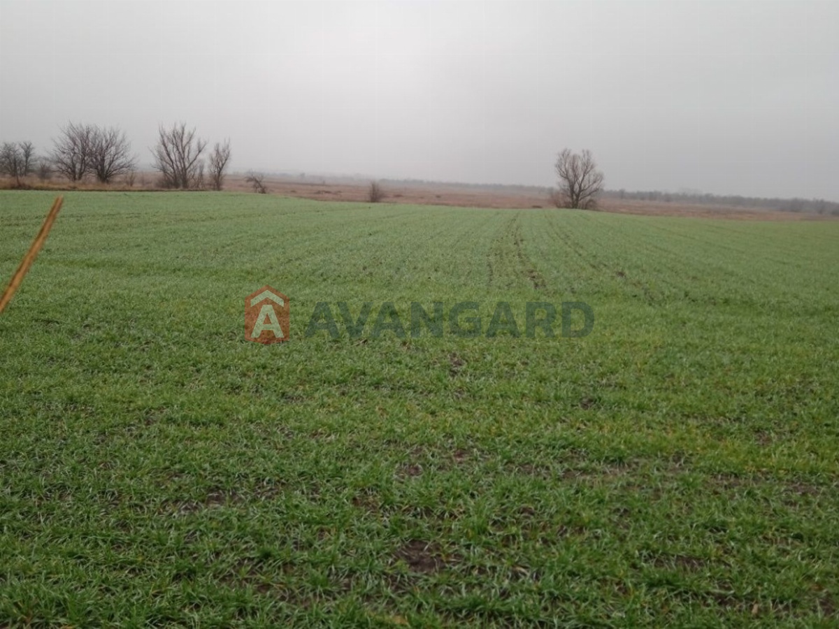 Дом, 130 кв.м. фото 11 Дом, 130 кв.м. фото 11