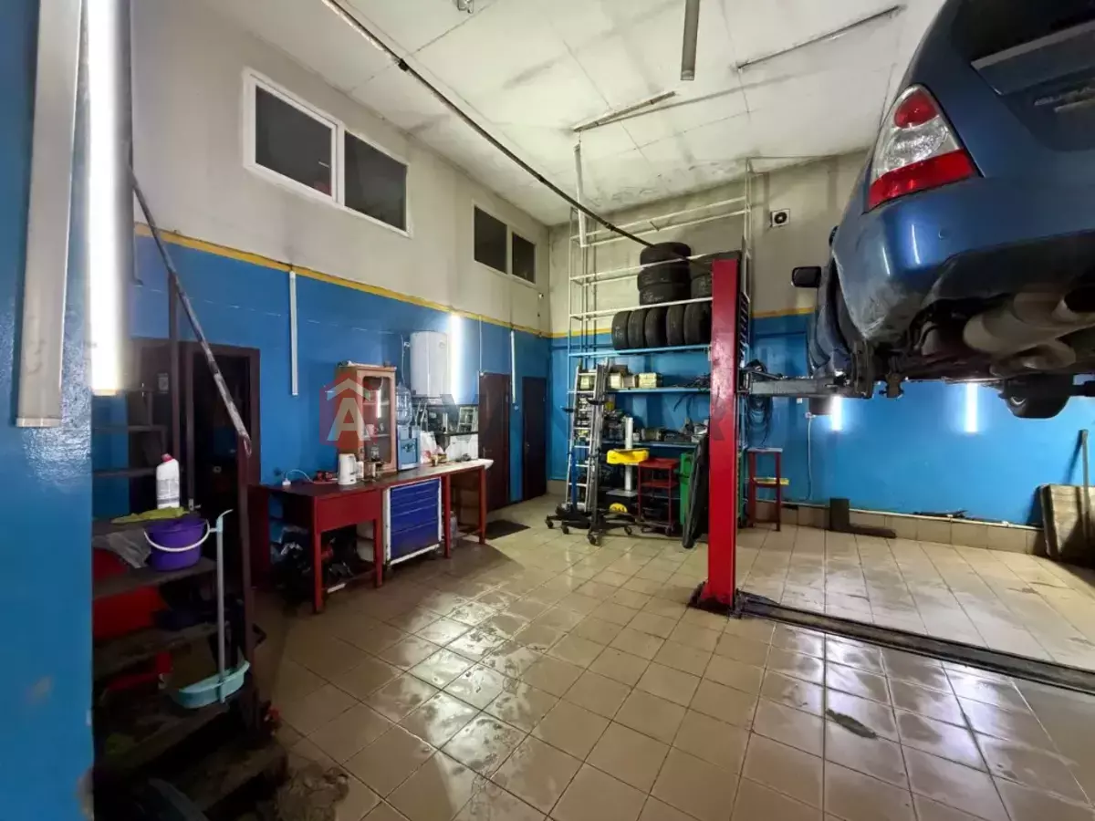 Сфера послуг, 300 кв.м. фото 3 Сфера послуг, 300 кв.м. фото 3