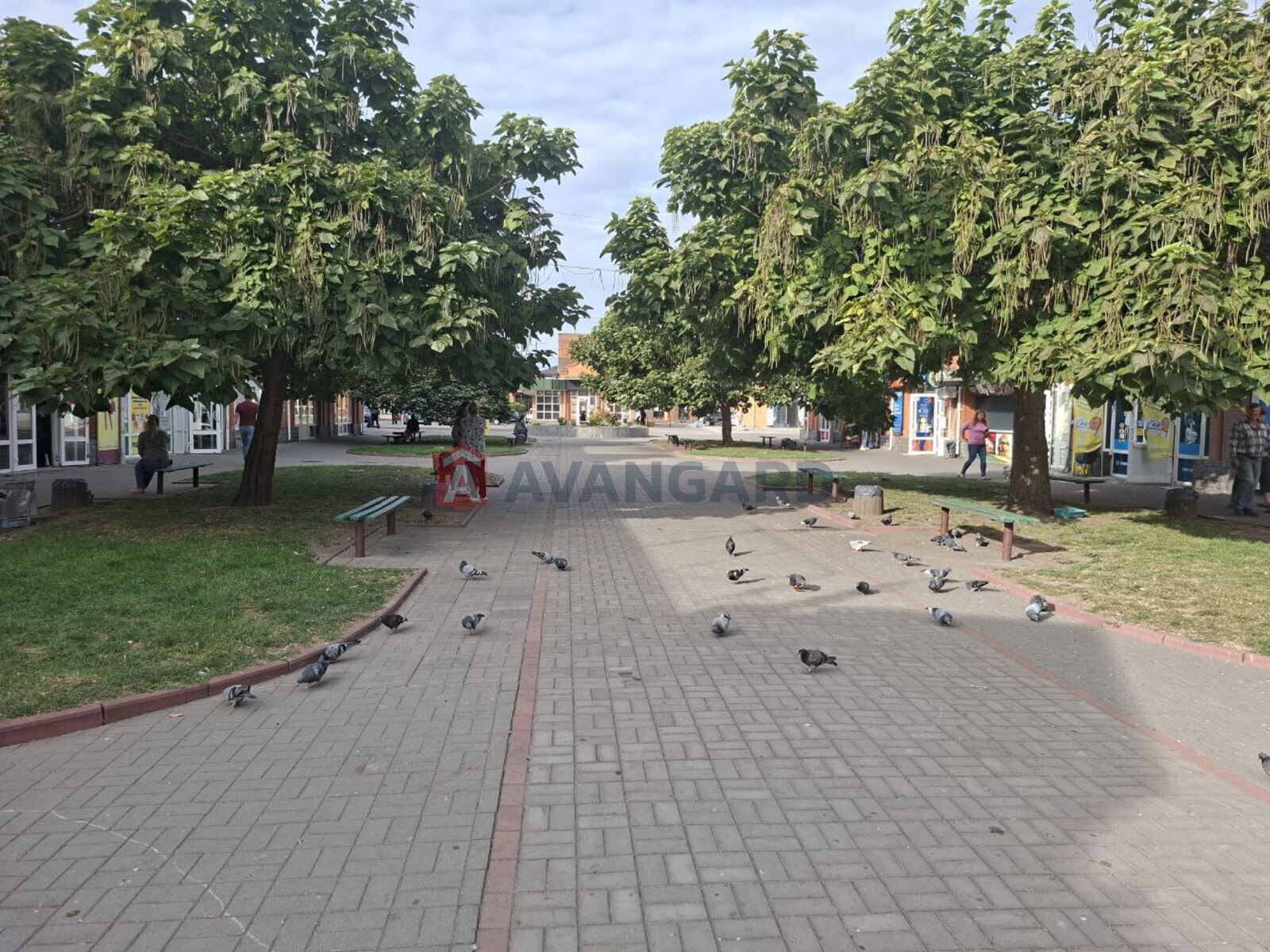 Торгівельна площа, Кафе, бар, ресторан, Сфера послуг, 200 кв.м. фото 13 Торгівельна площа, Кафе, бар, ресторан, Сфера послуг, 200 кв.м. фото 13