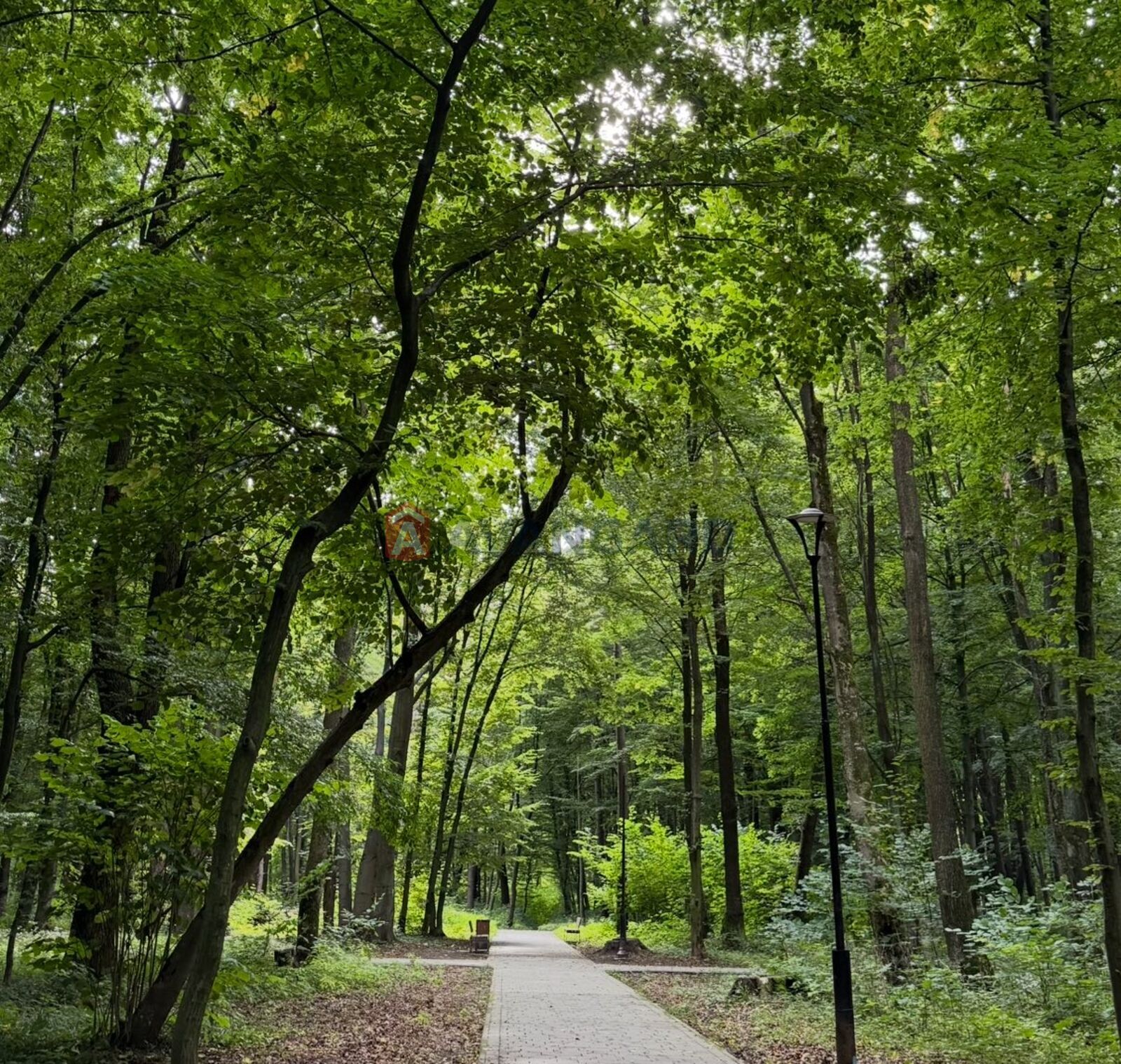 Торгівельна площа, Кафе, бар, ресторан, Сфера послуг, 63 кв.м. фото 15 Торгівельна площа, Кафе, бар, ресторан, Сфера послуг, 63 кв.м. фото 15