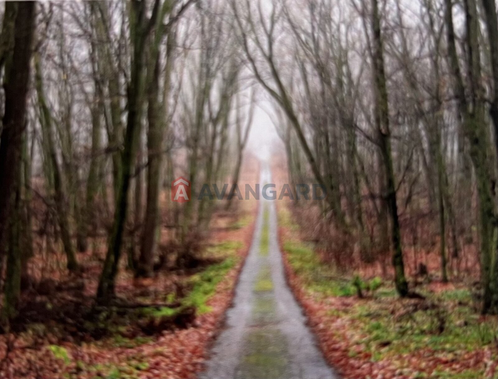 Торговая площадь, Кафе, бар, ресторан, Сфера услуг, Отель, 8300 кв.м. фото 2 Торговая площадь, Кафе, бар, ресторан, Сфера услуг, Отель, 8300 кв.м. фото 2