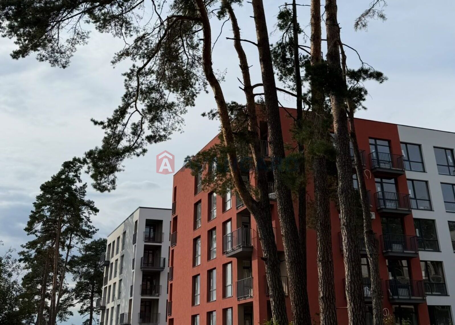 Торгівельна площа, Кафе, бар, ресторан, Сфера послуг, 63 кв.м. фото 1 Торгівельна площа, Кафе, бар, ресторан, Сфера послуг, 63 кв.м. фото 1