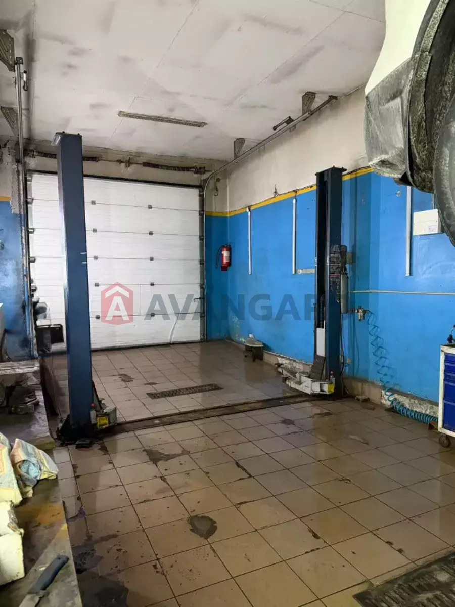 Сфера послуг, 300 кв.м. фото 6 Сфера послуг, 300 кв.м. фото 6